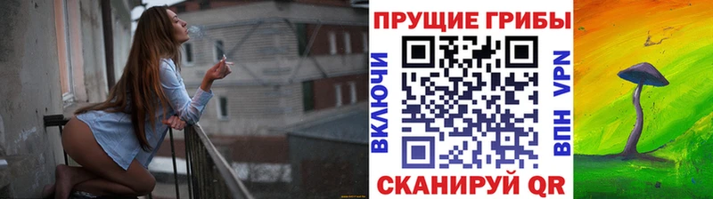 Галлюциногенные грибы мухоморы  Княгинино 